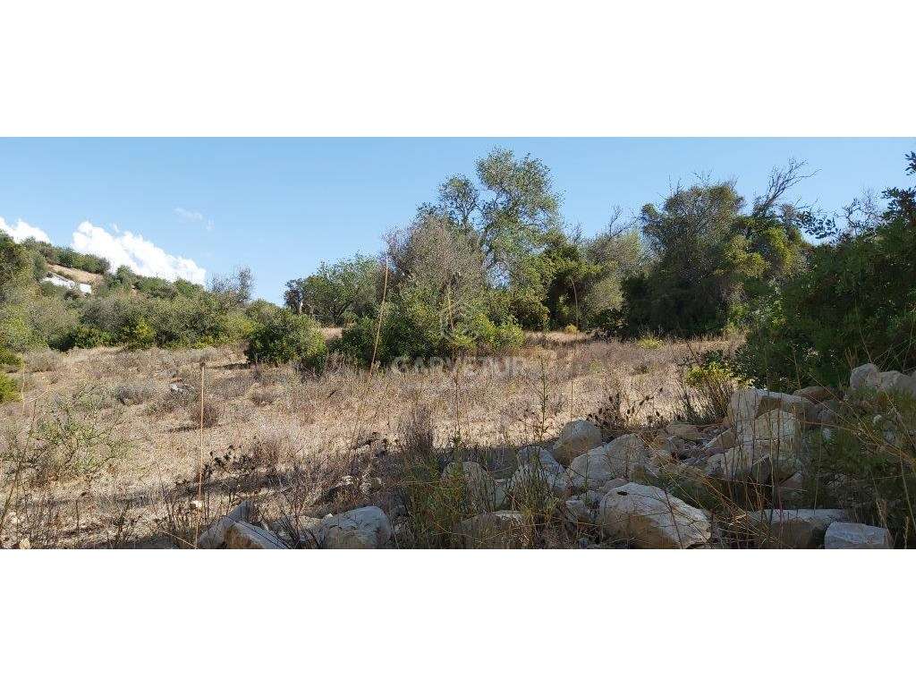 Terreno agrícola, várias culturas, Paderne, Albufeira, Algarve - Grande imagem: 3/15