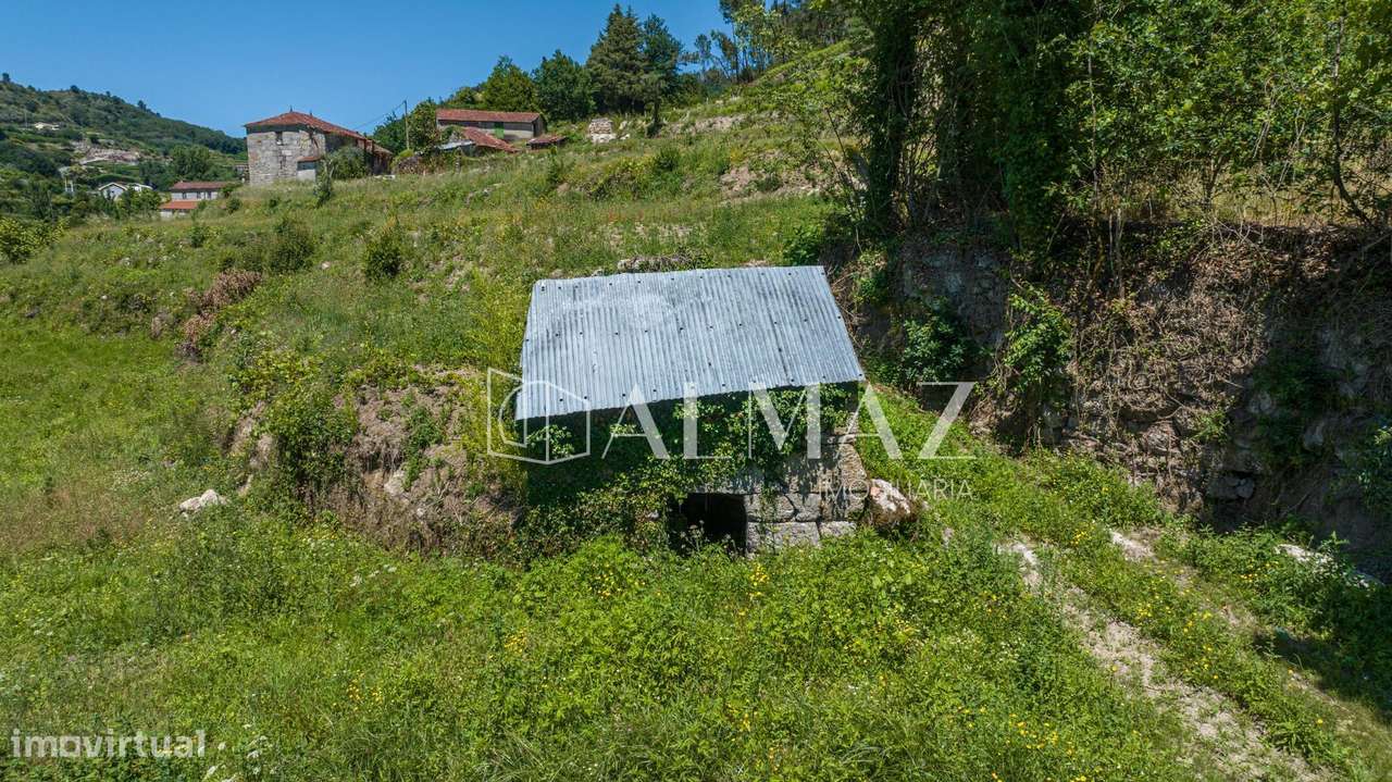 Quinta com Elevado Potencial em Vila Meã – Amarante-10