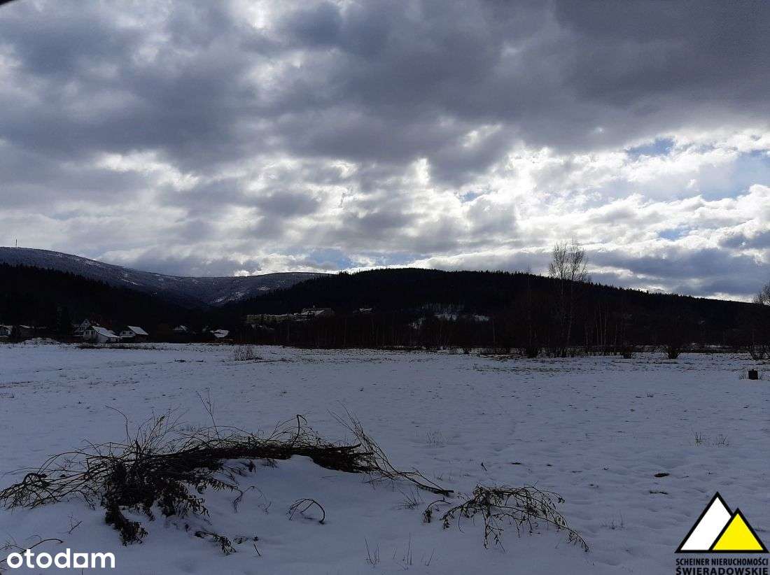 ponad 10 000m2 - Pełny obrazek: 5/17