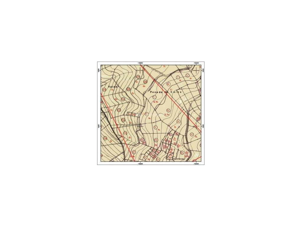 Eucaliptal com 3800m² - Serra de Santa Catarina, Ferreira do Zêzere - Grande imagem: 5/9