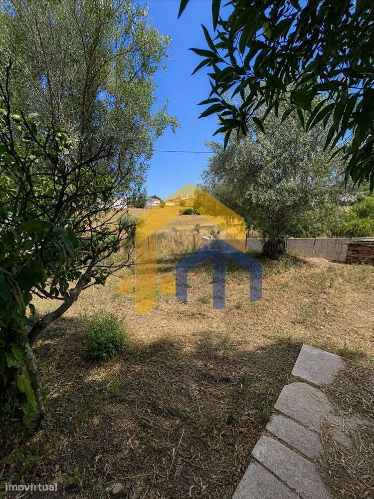 Quintinha para Recuperação Total em Glória – Estremoz-35