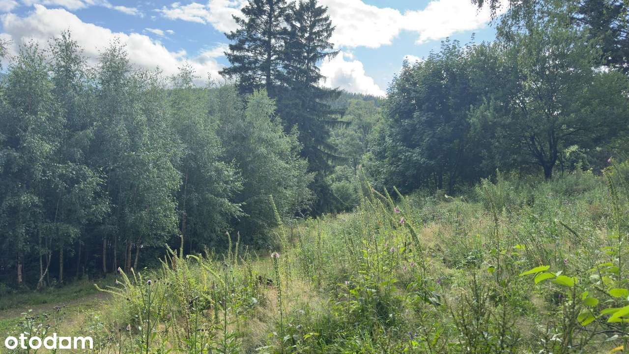 Działka budowlana z widokiem na góry | 1631 m² | PUM 700–800 m² - Pełny obrazek: 3/4