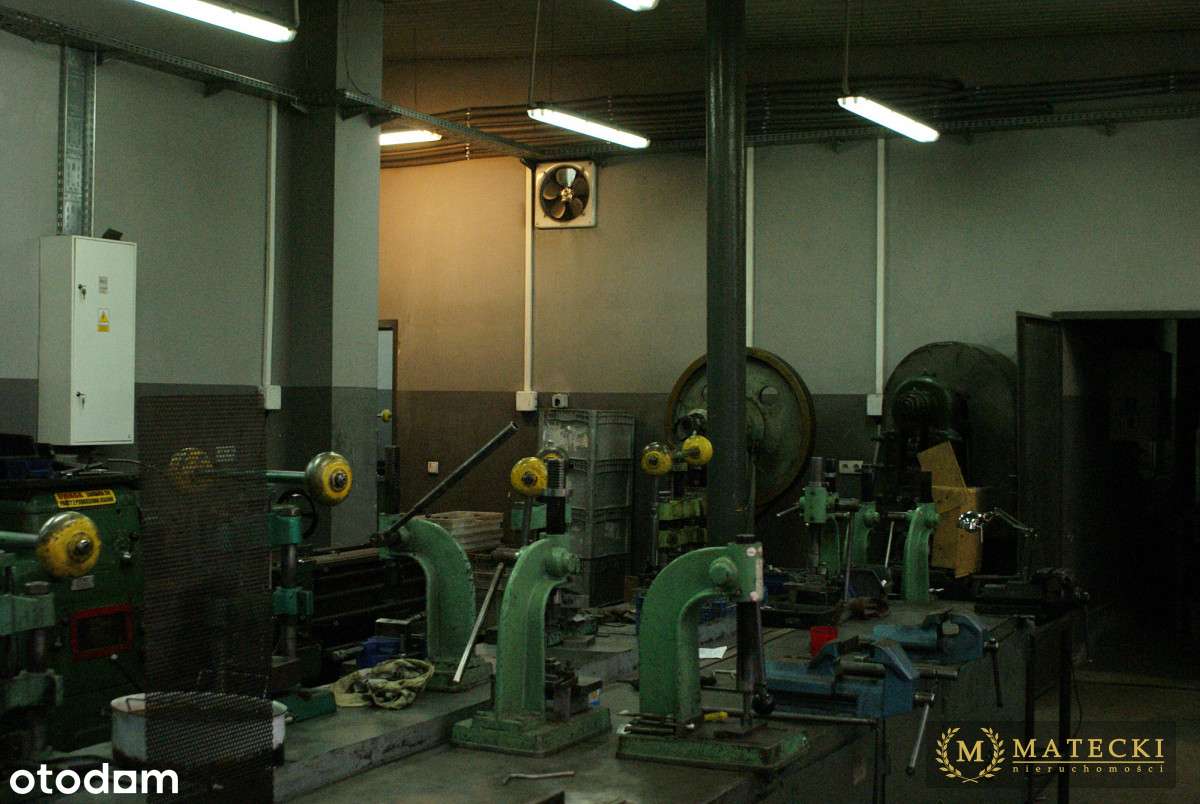 #Biuro #Mieszkanie #Hala produkcyjna #Magazyn-6