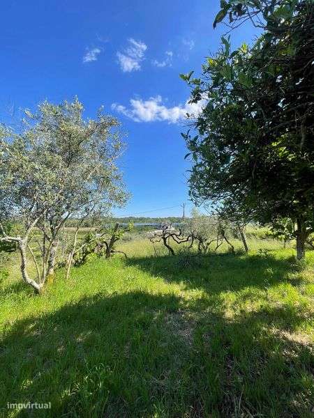 Terreno rústico com anexo - Grande imagem: 3/12