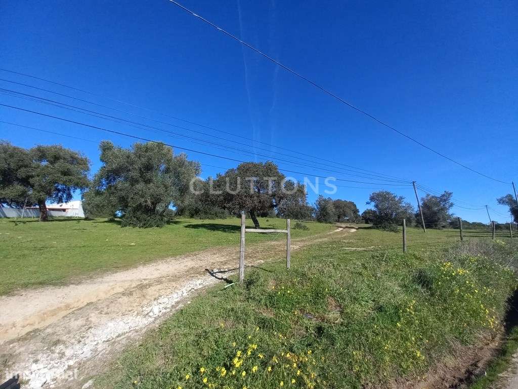 Terreno - Quinta, Investimento, 12 hectares e 844 m2 edificados, Évora-26