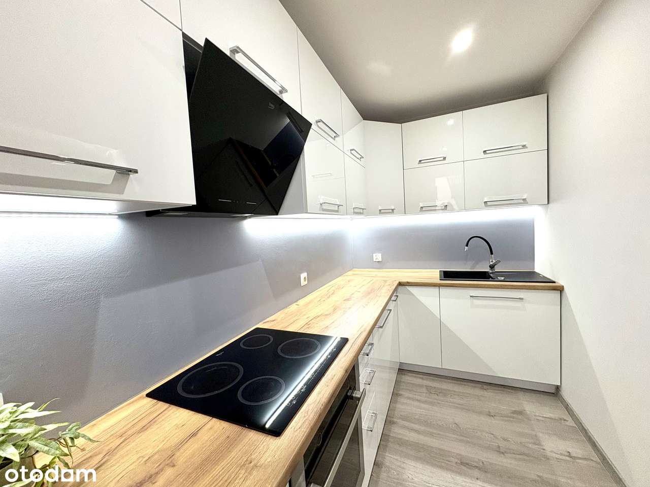 TOP lokalizacja | Winda | Garaż | GOTOWE do wprowadzenia |-5