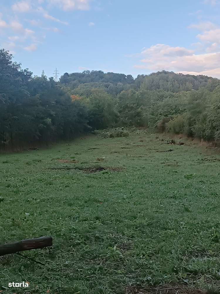 Teren Construibil de Vânzare în satul Homorâciu, Prahova - Imagine principală: 1/3