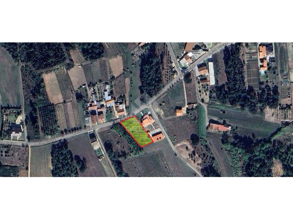 Terreno urbano à venda em São Lourenço do Barro, concelho de Anadia... - Grande imagem: 3/13