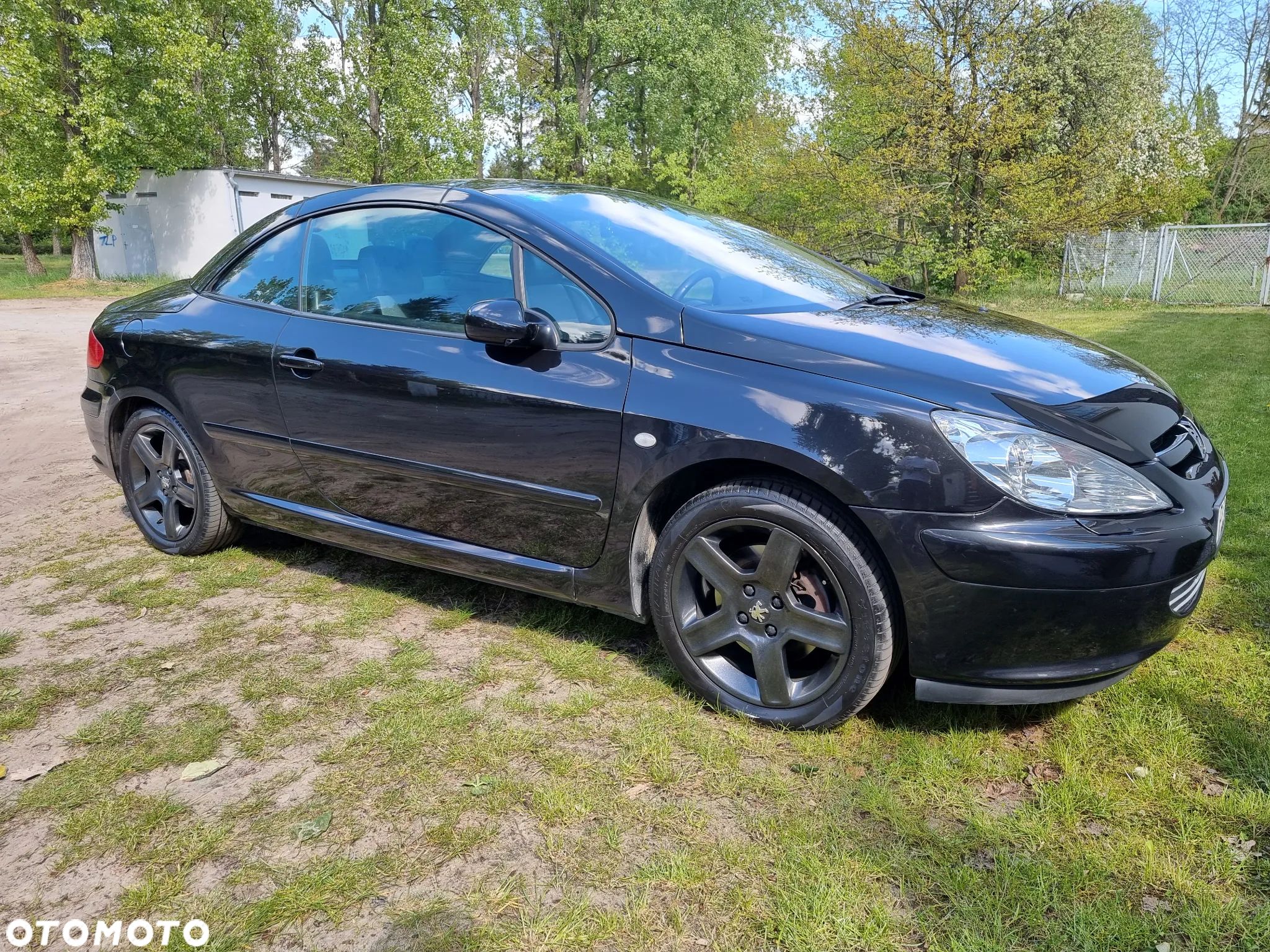 Peugeot 307 CC 2.0 - 1