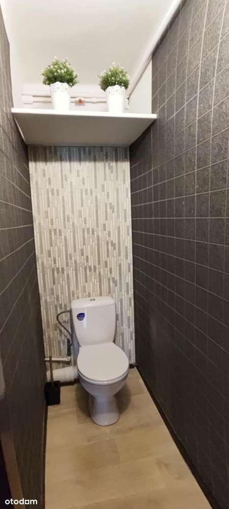 Duże, ustawne trzy pokoje w centrum miasta-11