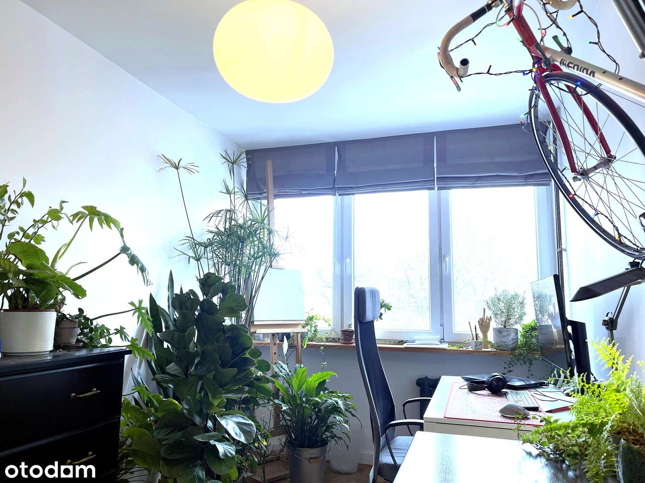 Centrum Stare Miasto Media Miejskie Widok Panorama Rozkładowe-7