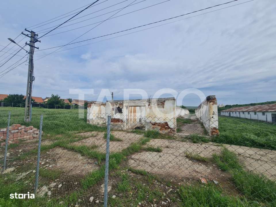 Hala in constructie cu teren intravilan de vanzare in Cut judetul Alba - Imagine principală: 2/4