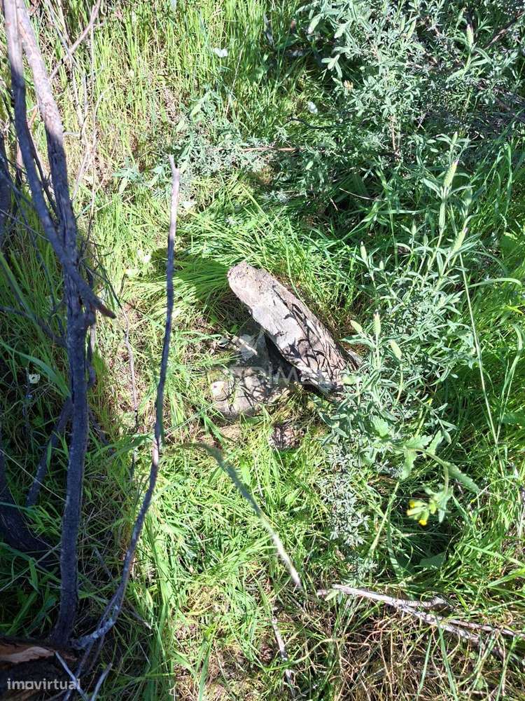 Terreno Rustico com 4,625 hectares - Grande imagem: 5/20