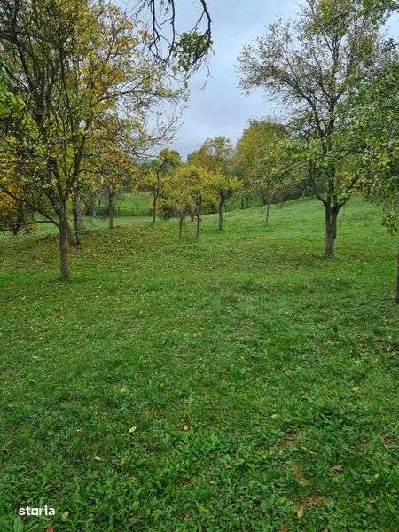 Vand teren Daesti - Imagine principală: 4/5