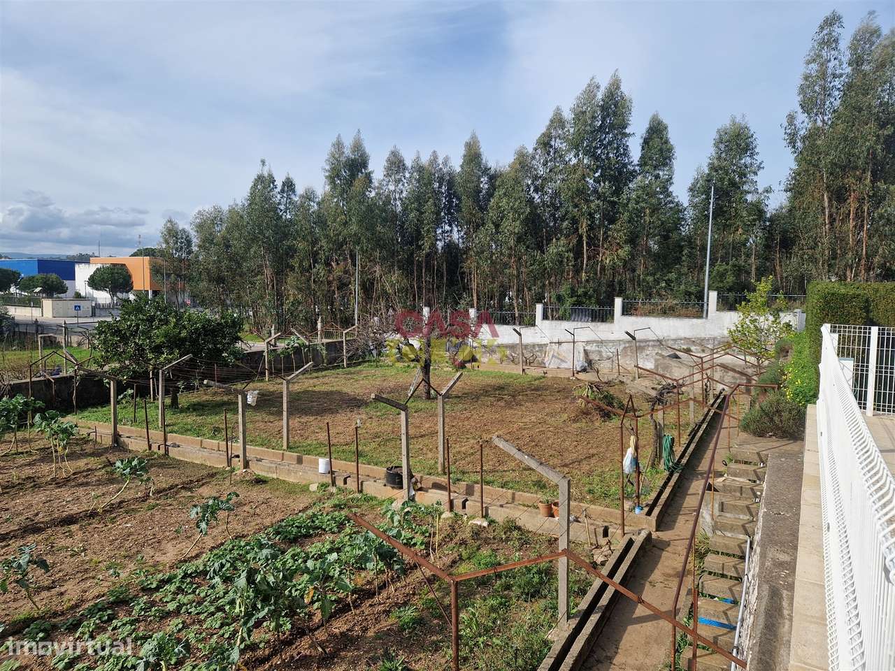 Quintinha T6 Venda em Nossa Senhora de Fátima,Entroncamento - Grande imagem: 5/60