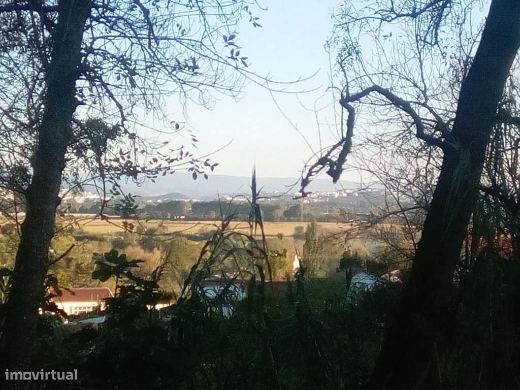 Terreno Agricola, Antuzede - Grande imagem: 4/6