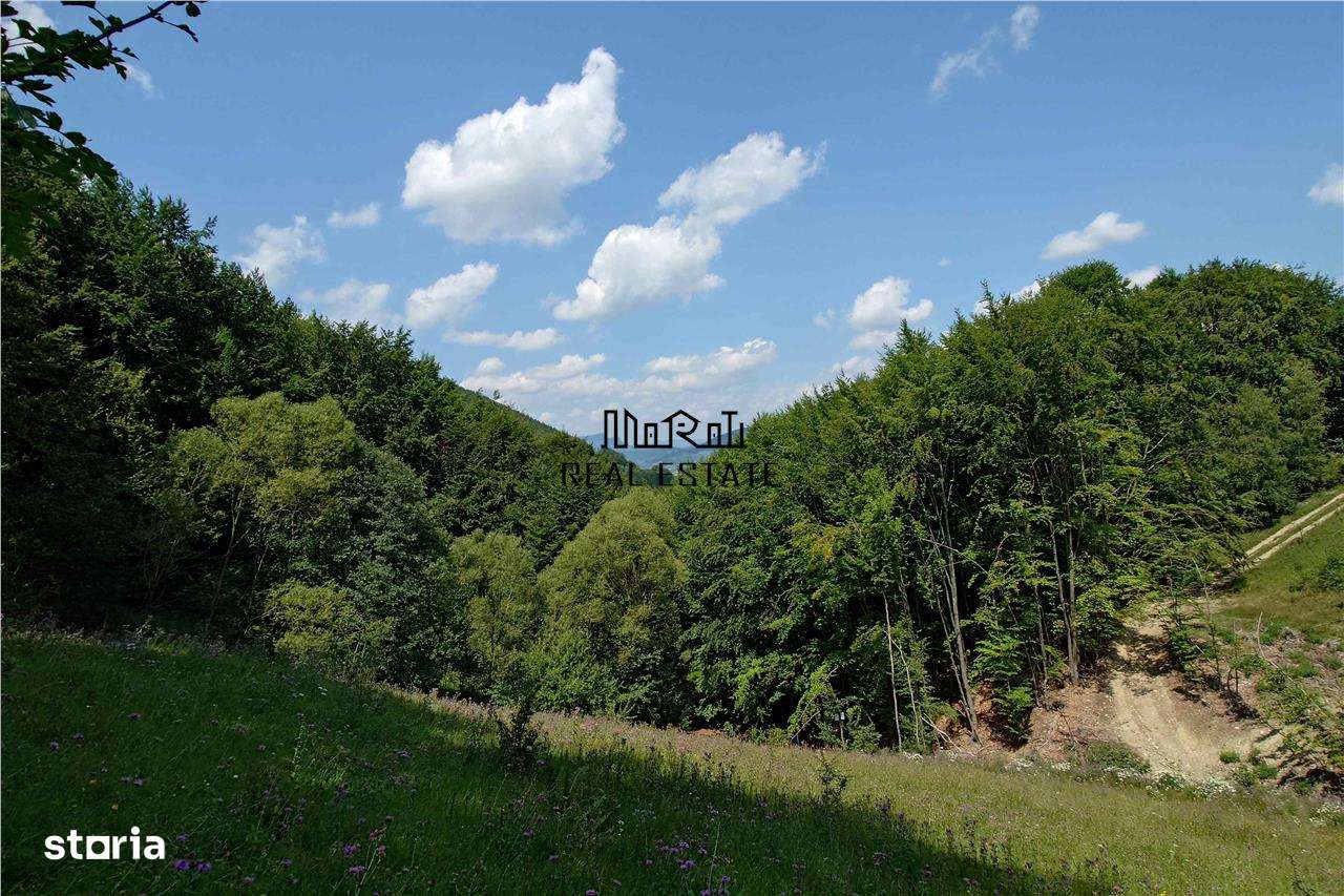 Teren montan cu priveliste si izvor - 5727mp in Buces, langa padure - Imagine principală: 2/14