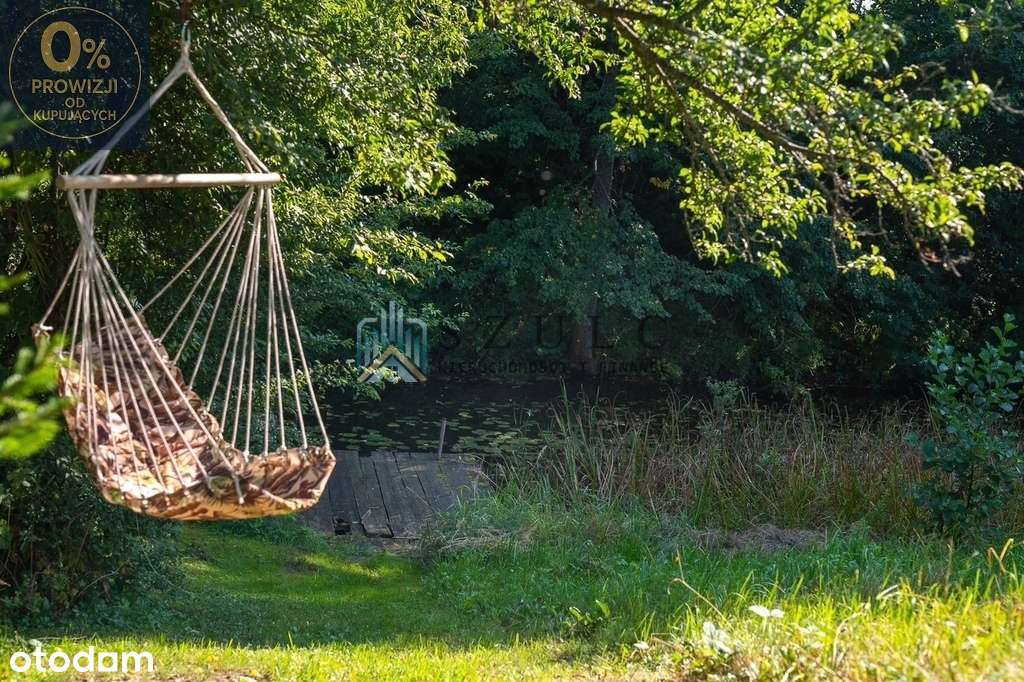 Dom nad rzeką w Becejłach - Pełny obrazek: 5/12