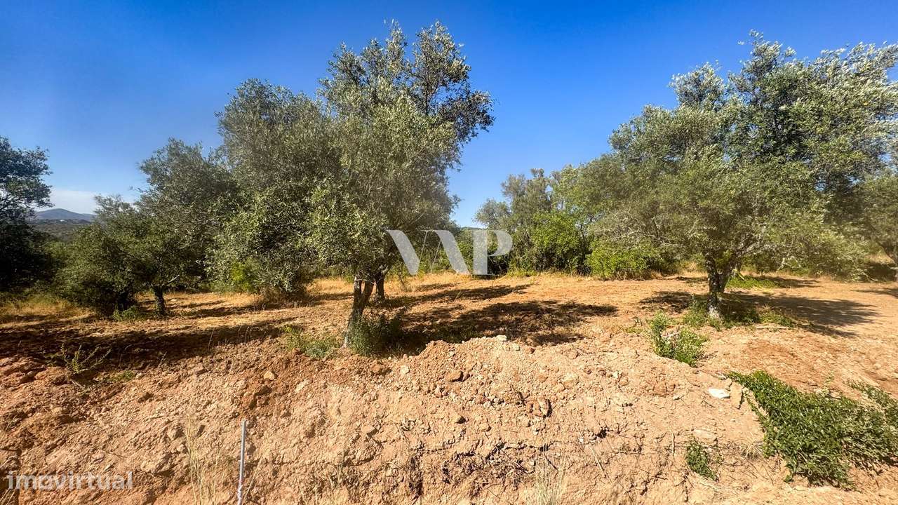 Lote de Terreno Rústico, Querença - Grande imagem: 4/6