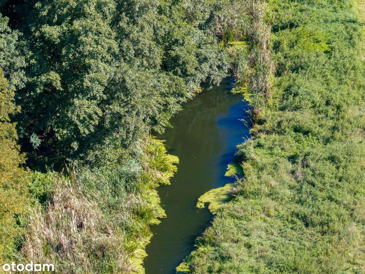 Działka 7,2 ha- przyroda i potencjał inwestycyjny-7