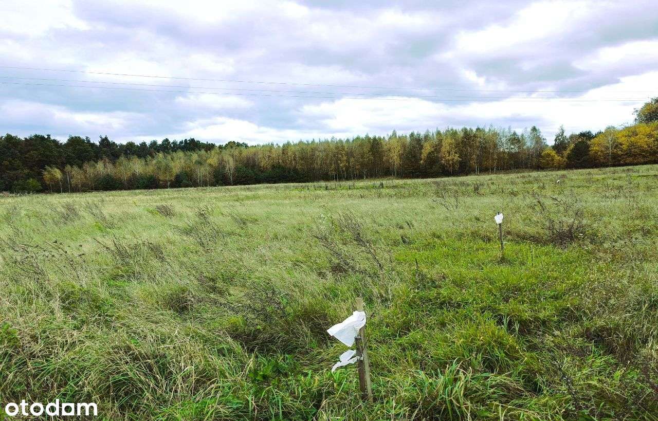 Działki na Roztoczu, 12 km od Zamościa, Kąty II - Pełny obrazek: 4/12