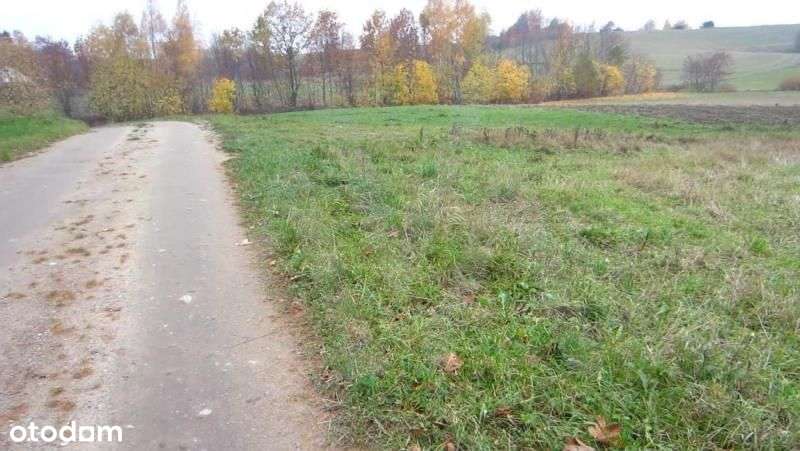 Działka przemysłowa - Szemud - 2834m2 - Pełny obrazek: 4/6