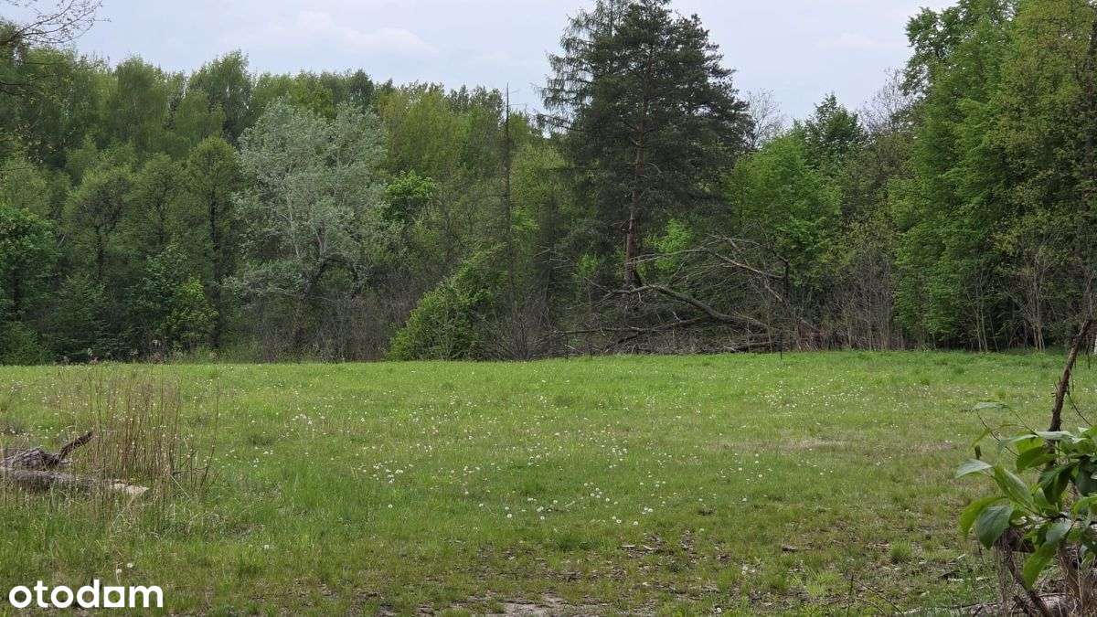 Działka, 1 636 m², Siemonia-1