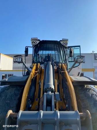 Liebherr L 550 XPower IND - 10