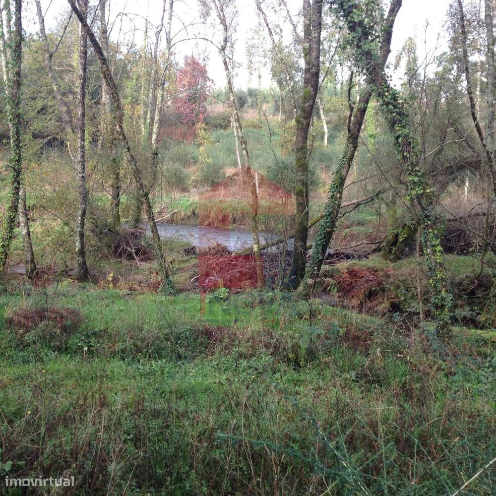 Moinho, Arcozelo - Grande imagem: 5/12