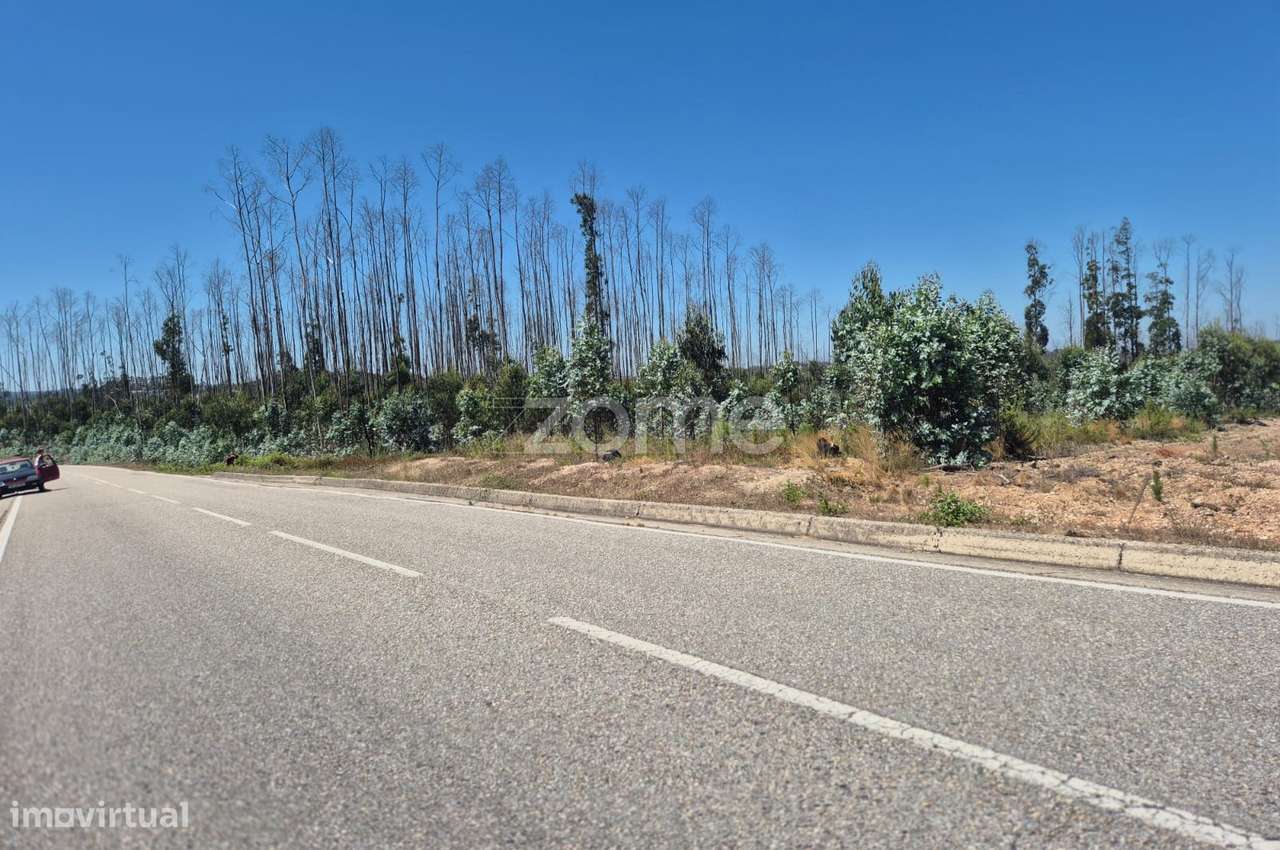 Terreno Rústico na Caranguejeira - Grande imagem: 4/22