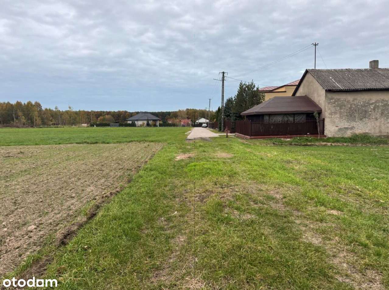 Działka niezabudowana - Gorzędów, gm. Kamieńsk - Pełny obrazek: 3/5