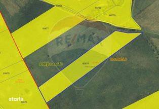 20 ha terenuri agricole de vanzare in Bacau - Imagine principală: 3/18