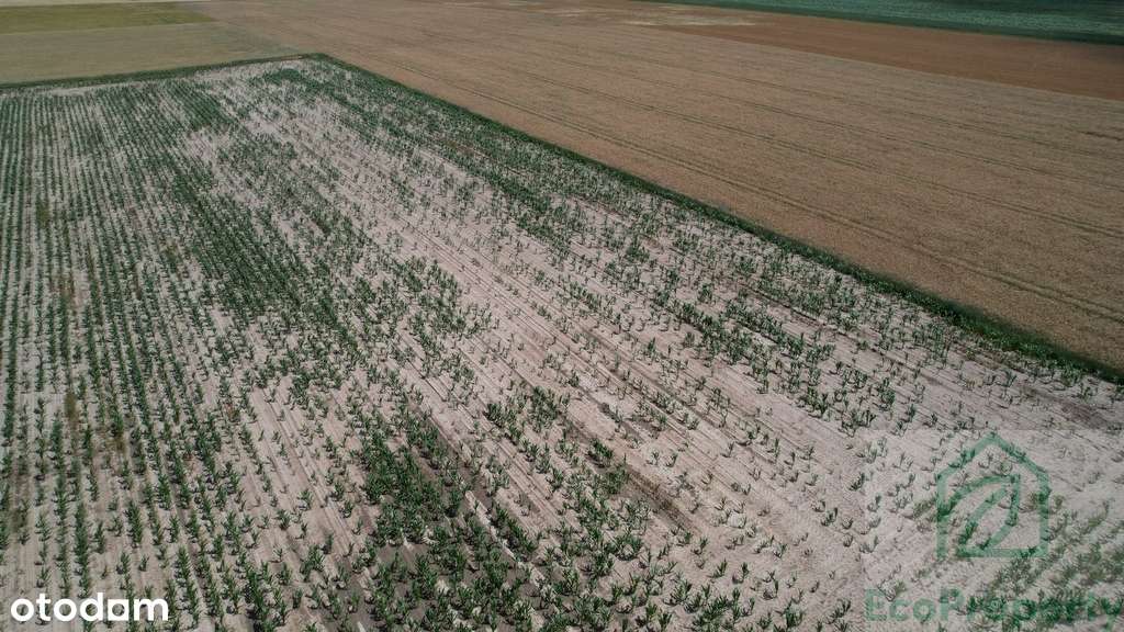 Atrakcyjne działki blisko Tarnowa Podgórnego-8