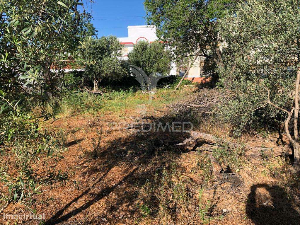 Terreno para Construção de Prédio - Grande imagem: 4/12