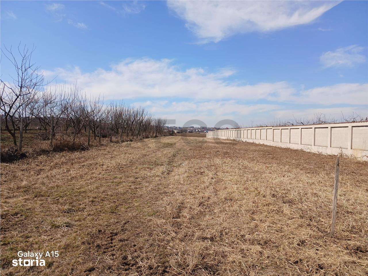 RECO TEREN INTRAVILAN IN PALEU - Imagine principală: 2/5