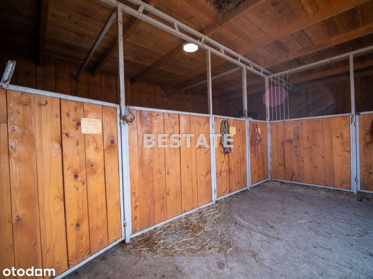 Ośrodek na sprzedaż, Pleśna-10