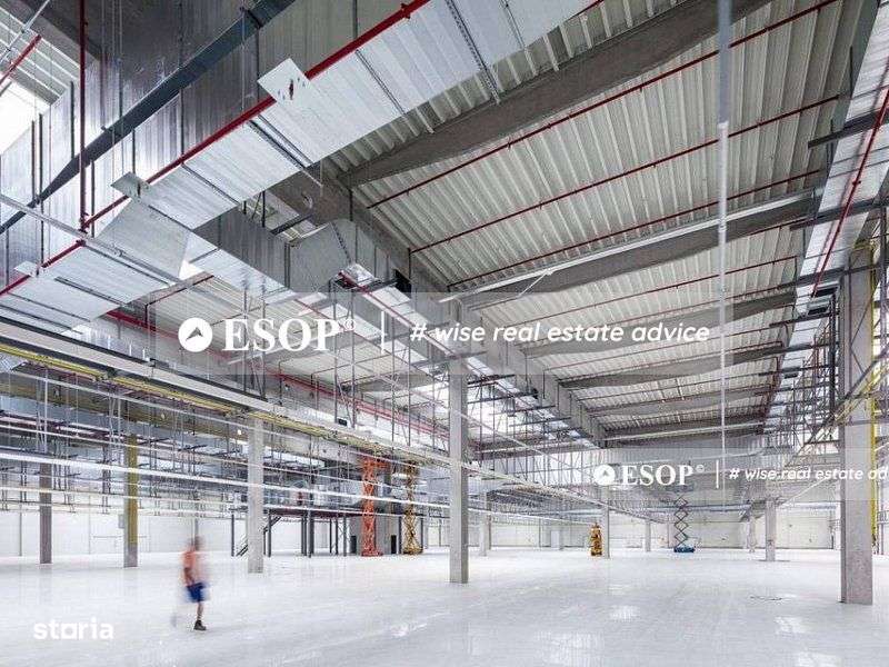 CTPark Arad II, hale in parc industrial, 0% comision, 3.000-21.000mp - Imagine principală: 2/3