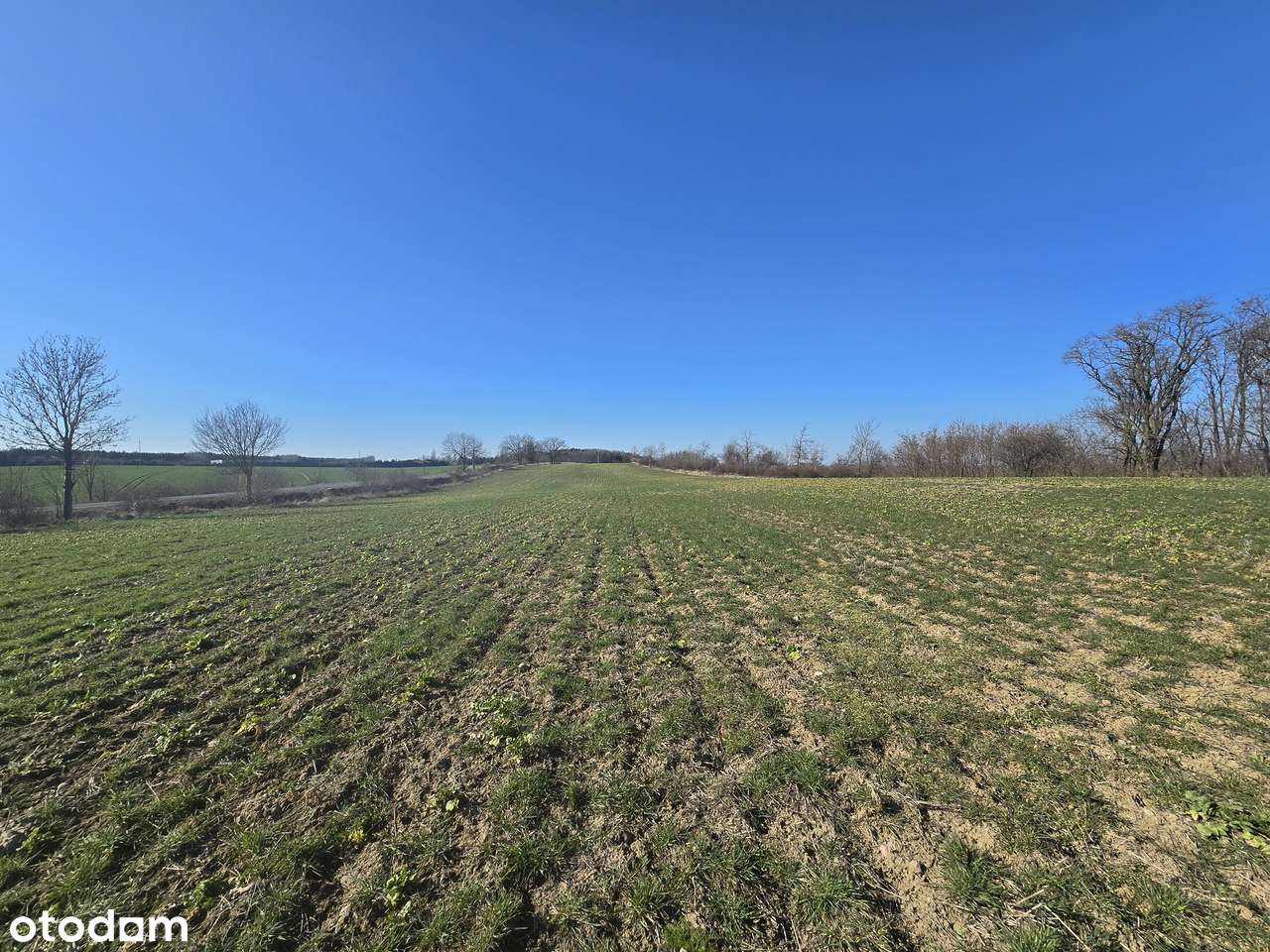 3 z 7 działek budowlanych w Lubiatówku-7