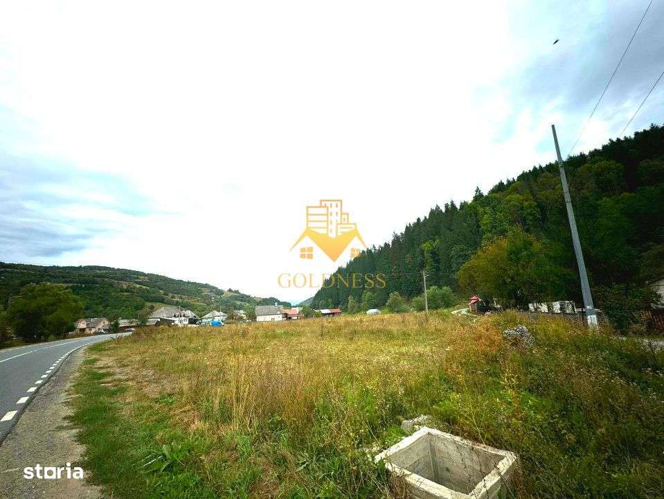 Teren intravilan, 8260mp, Front stradal 129m, Rosia Montana, Alba - Imagine principală: 5/5