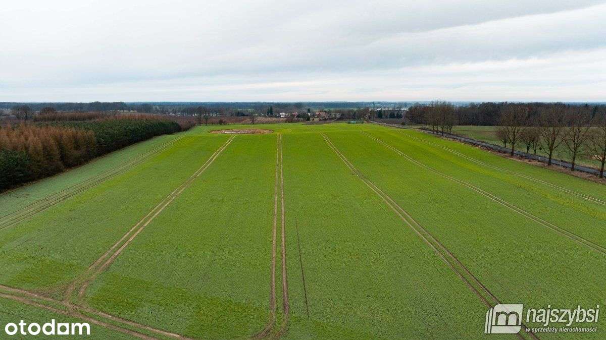 Węgorzyce-Ziemia Rolna, Inwestycyjna 13 Ha - Pełny obrazek: 4/10