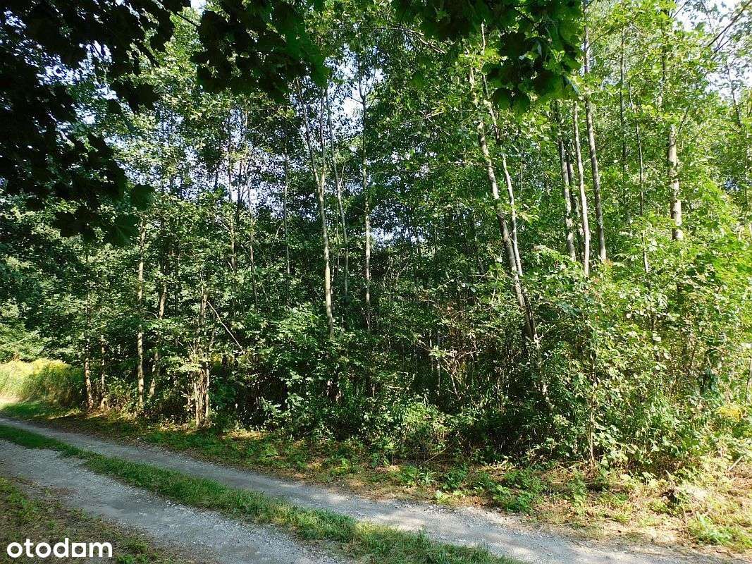 Imielno, działka budowlana - Pełny obrazek: 5/6