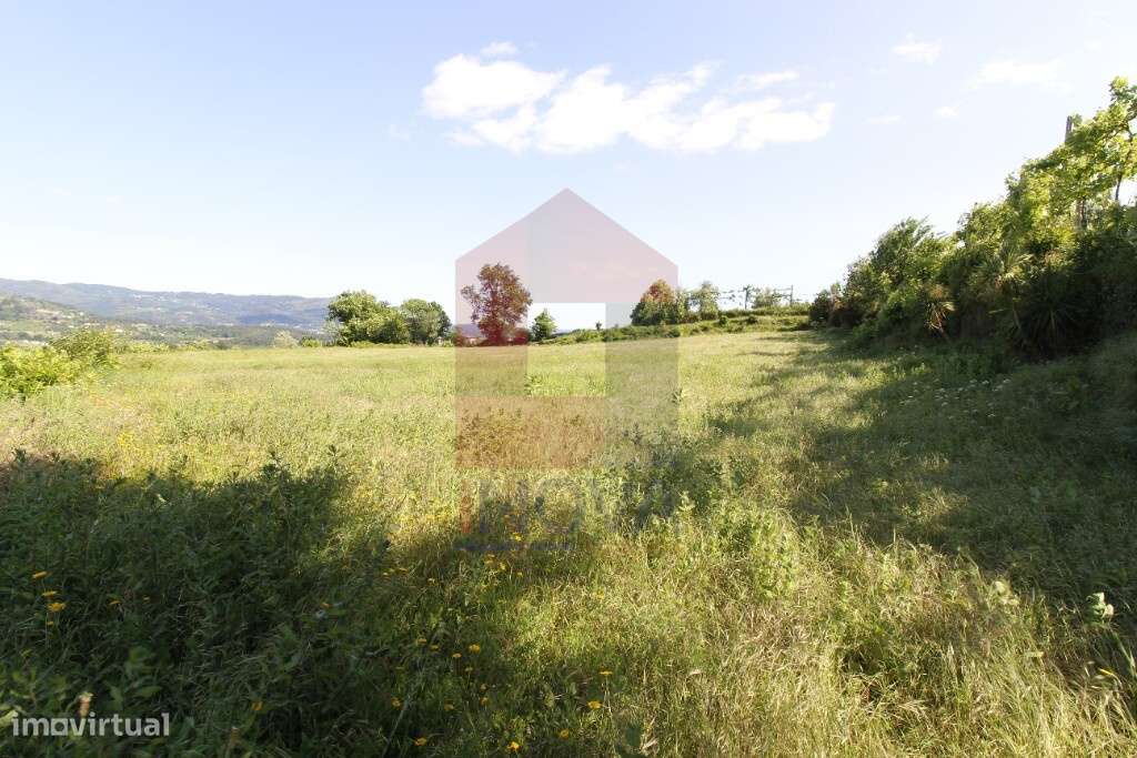 Terreno agrícola, Prado São Miguel - Grande imagem: 4/11