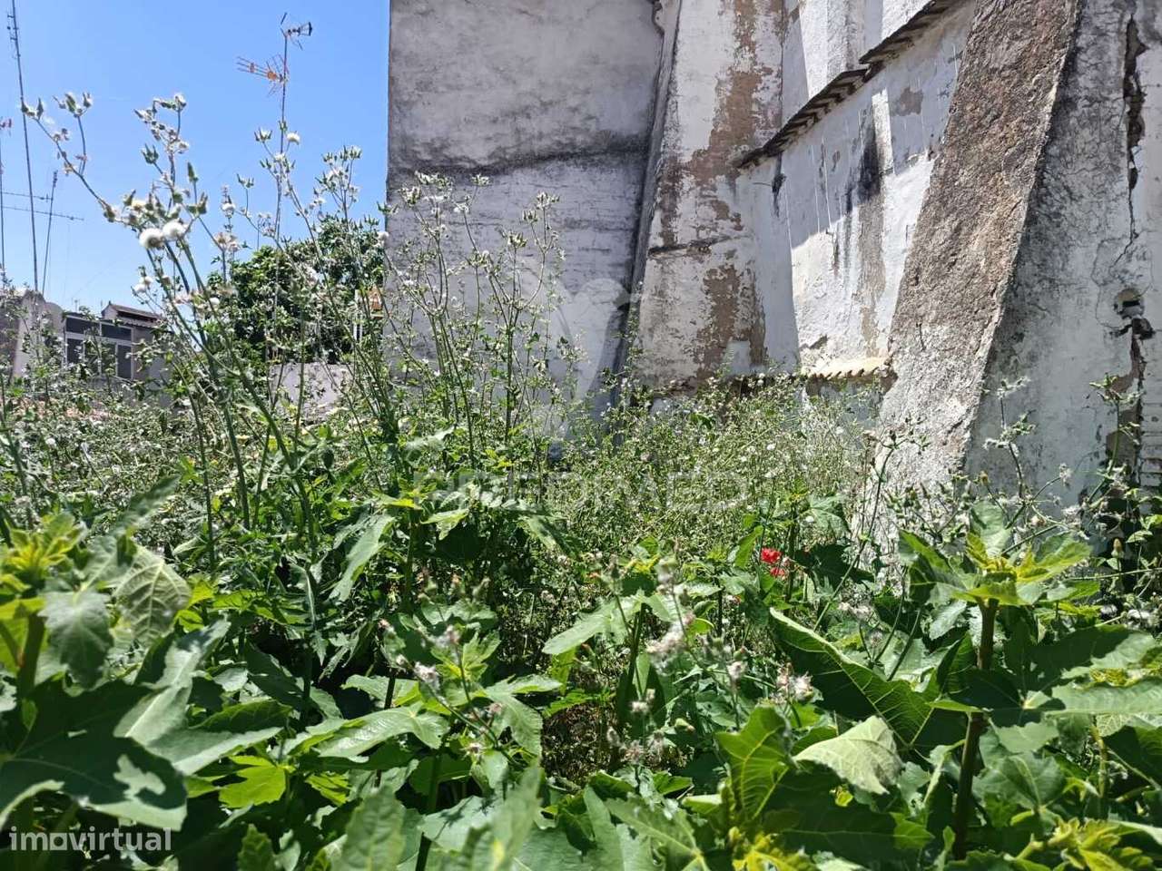 Oportunidade Única no Centro de Campo Maior – Moradia para Recupera... - Grande imagem: 5/38