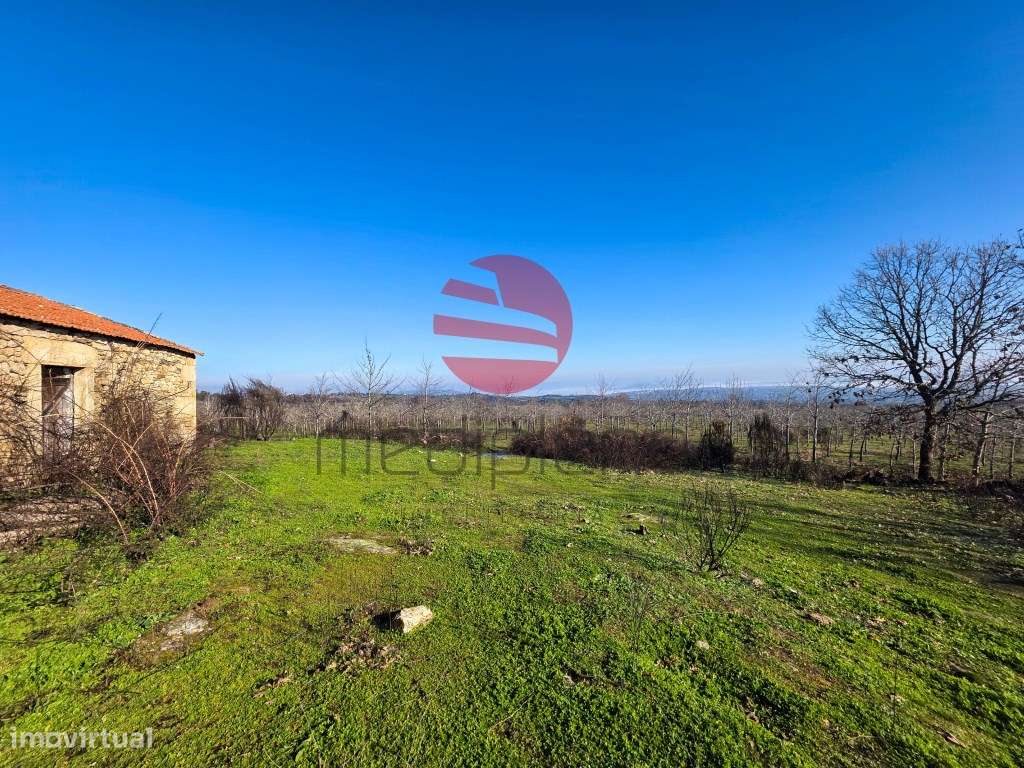 QUINTA AGRÍCOLA - Grande imagem: 4/10