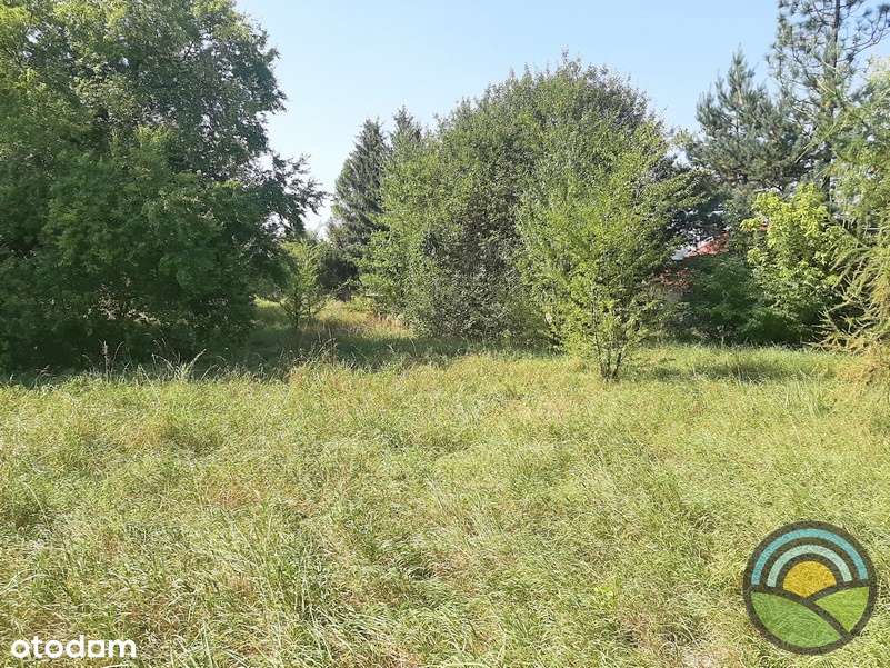 Płaska 18-arowa działka budowlana  k/Krakowa - Pełny obrazek: 5/10