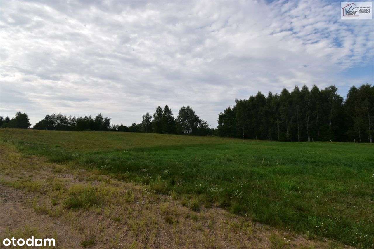 Działka, 3 004 m², Nowe Włóki - Pełny obrazek: 4/10