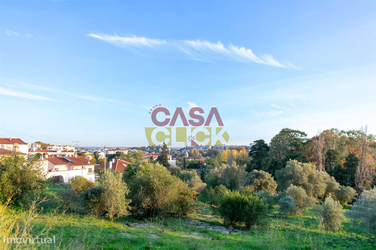 Lote de Terreno T3 Venda em Torres Novas (São Pedro), Lapas e Ribeira-6