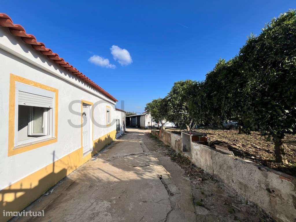 Moradia em Portel com excelentes áreas.-3