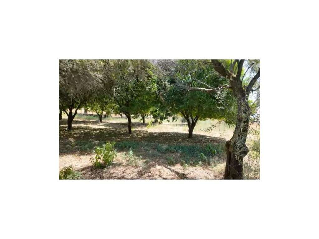 Moradia independente com 500 m2 área bruta-27