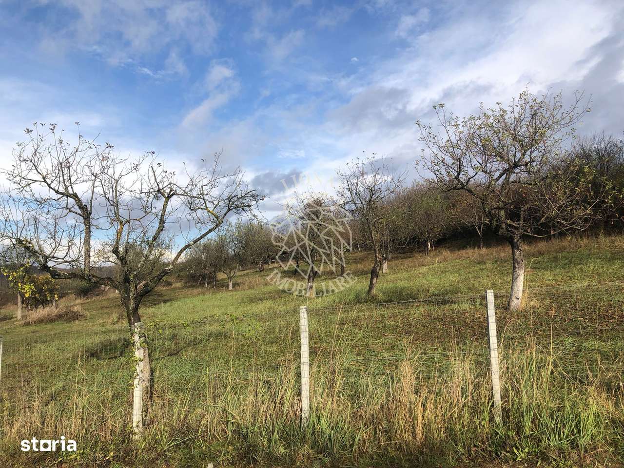 Teren intravilan 3800 mp-pretabil case-parcelabil-Zona Cartier Raal - Imagine principală: 3/7